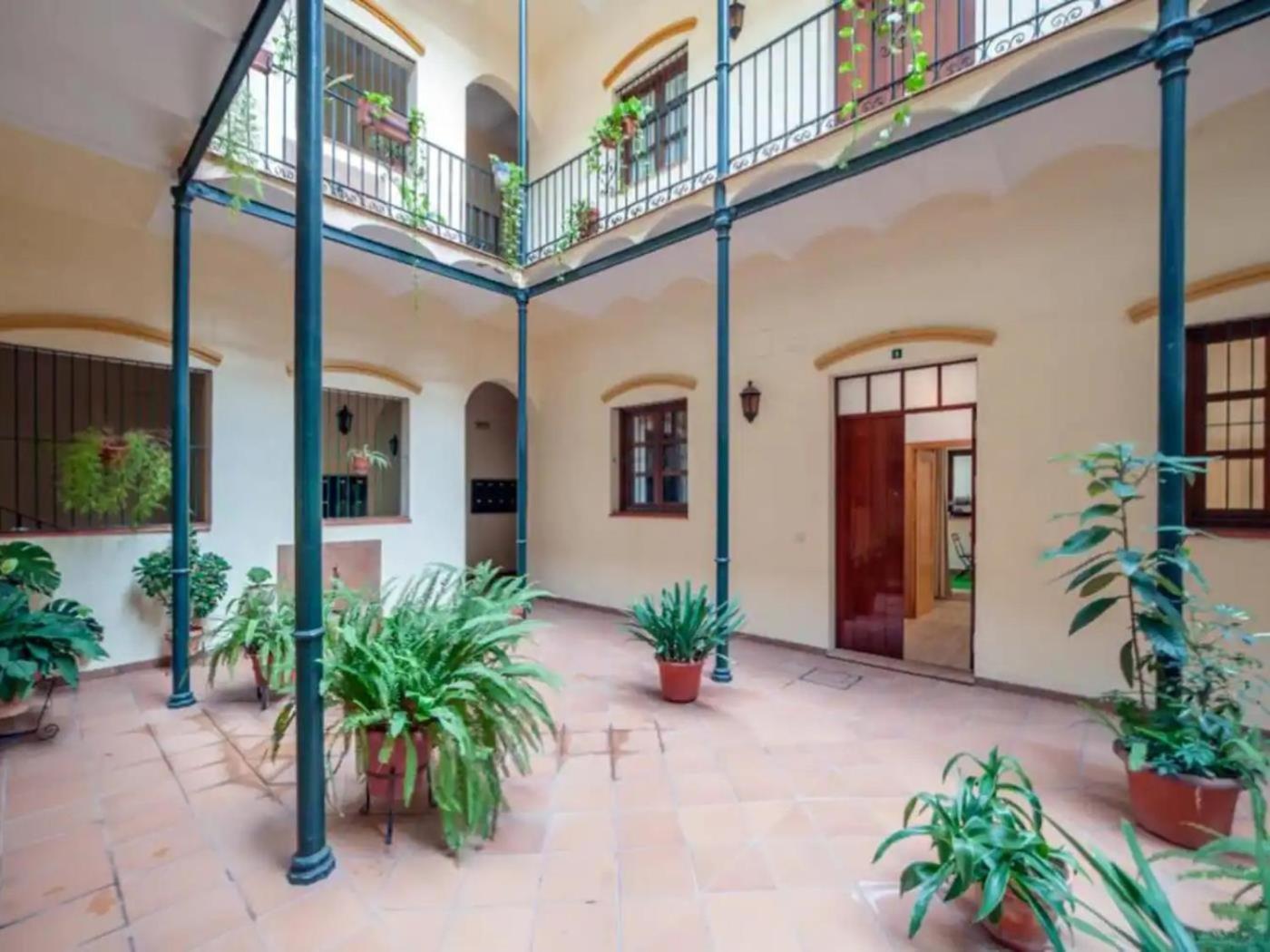 Apartment Monkeys Castilla Triana