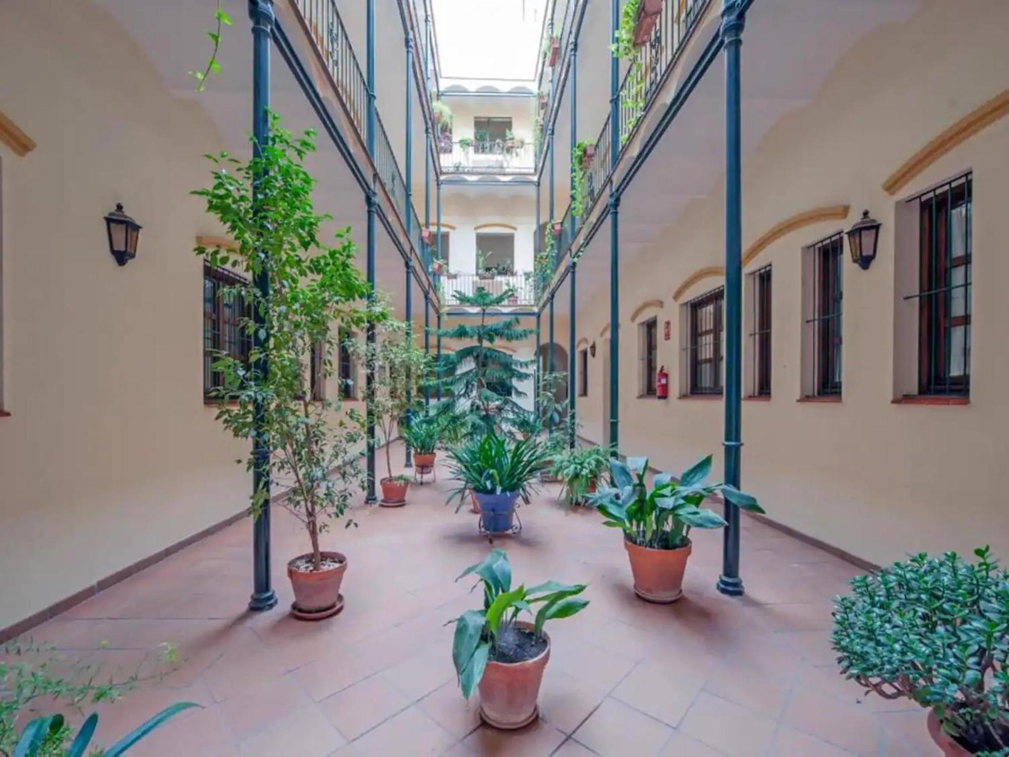 Monkeys Castilla Triana Apartment *